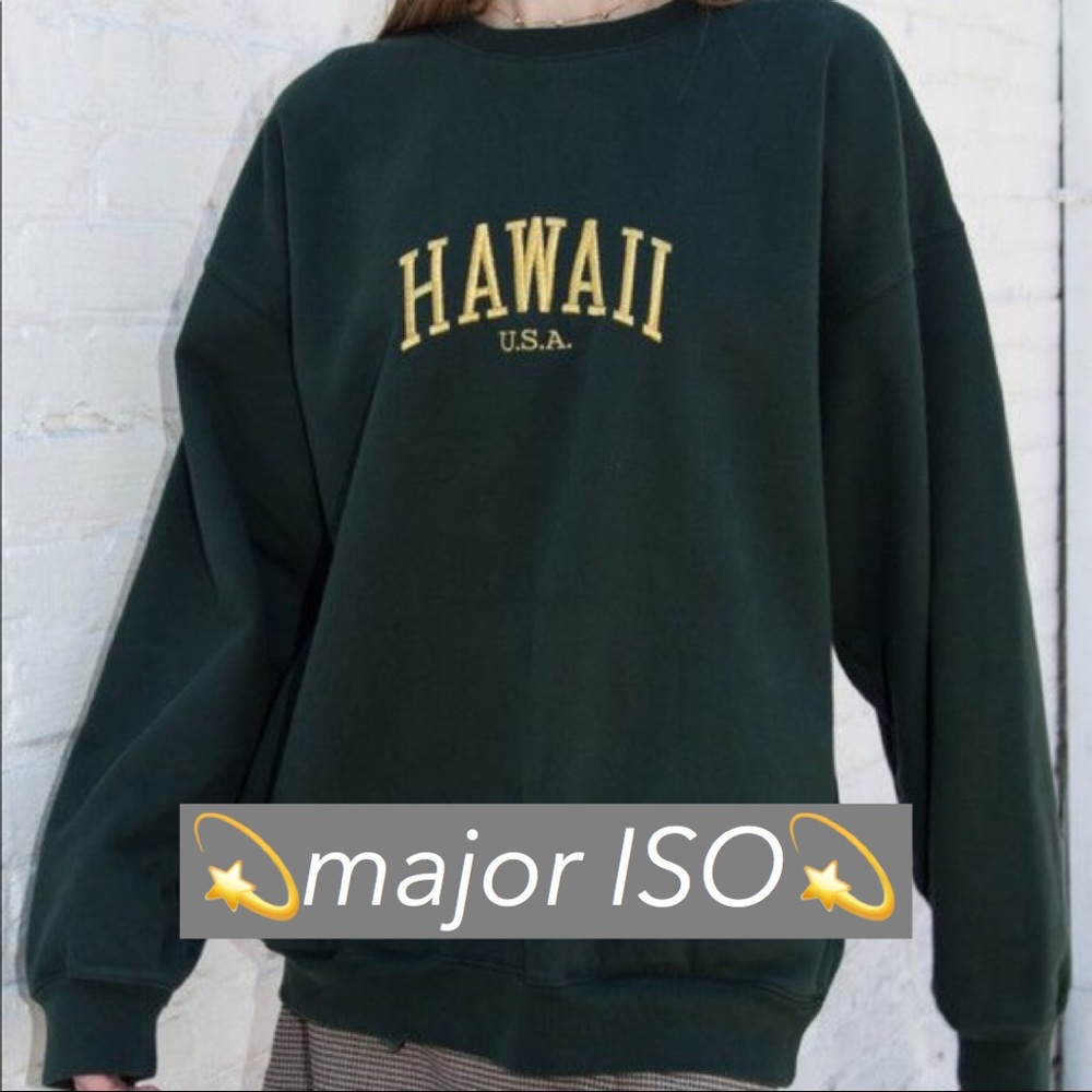 Brandy Melville Erica Sweatshirt